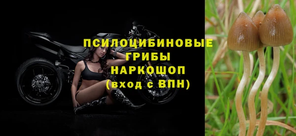 прущая мука Гусиноозёрск