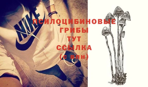 Альфа ПВП Тавда